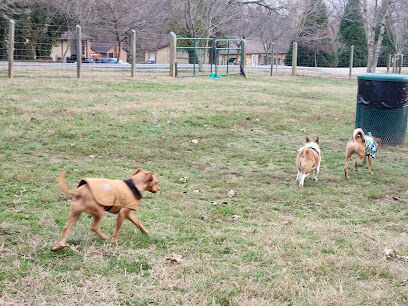 Shiloh Dog Park