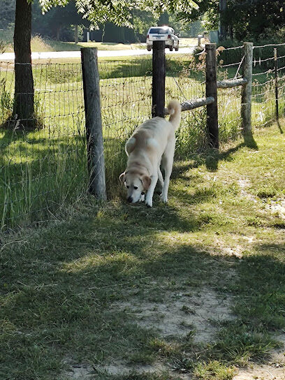 BCCD Hammertime Unleashed Dog Park