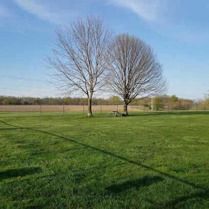 Dog Park