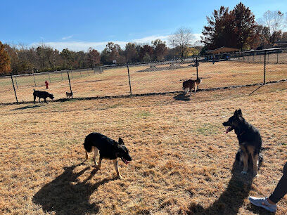 PetSafe Carbondale Community Dog Park