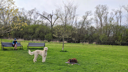 Bark Park