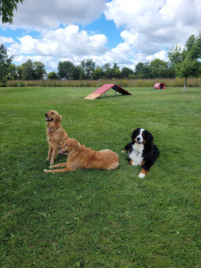 Dog Park | Hoffman Park
