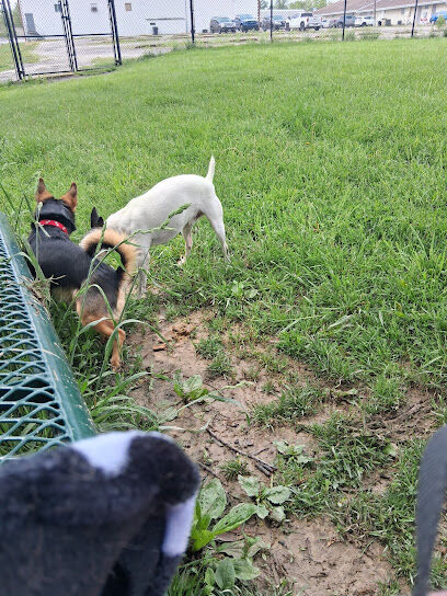 Charleston Dog Park