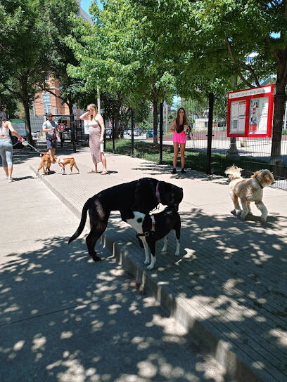Bartelme Dog Friendly Area