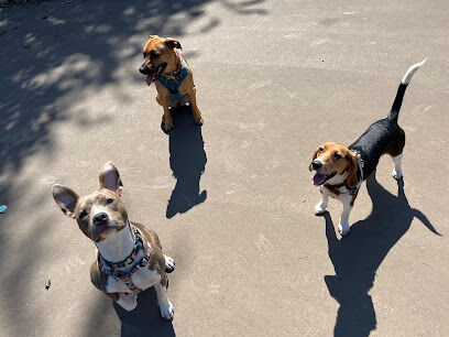 Bronzeville Dog Park: Park# 590