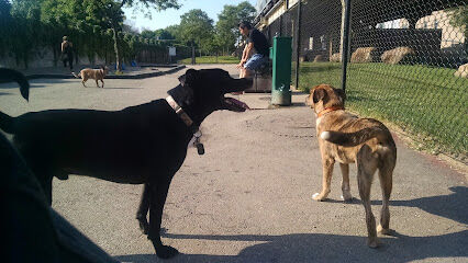 Challenger Dog Friendly Area