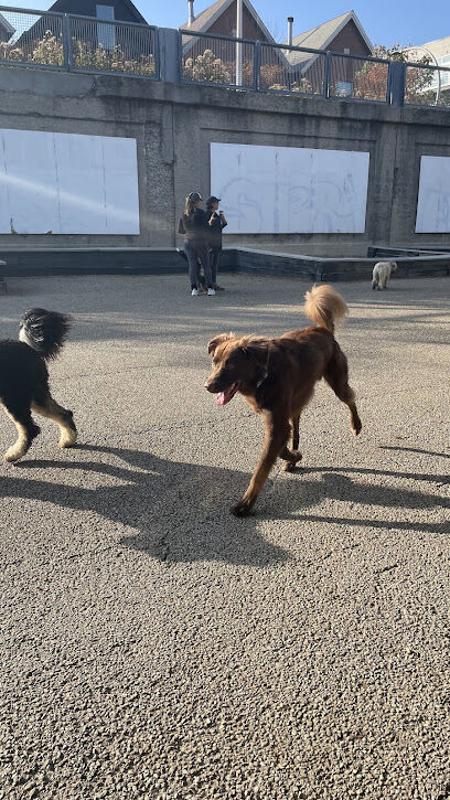 Churchill Park Dog Friendly Area