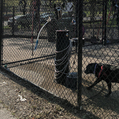 Clarendon Dog Friendly Area