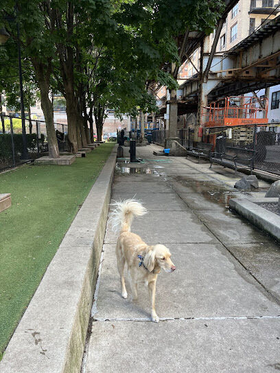 Coliseum Park Dog Friendly Area
