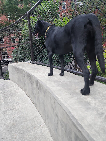 Dog Park