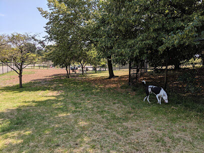 Edgewater Dog Park