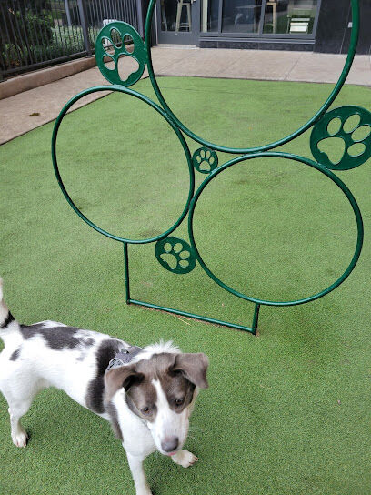 Exhibit Dog Park