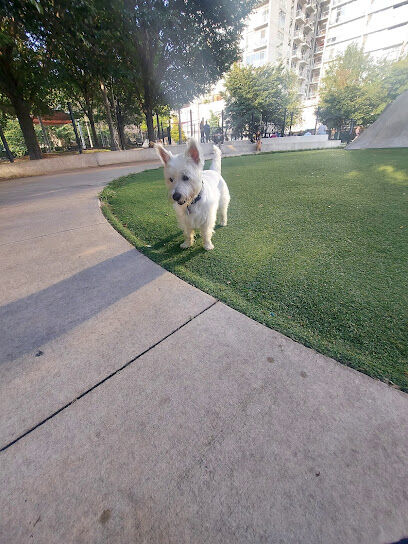 Fred Anderson Dog Friendly Area
