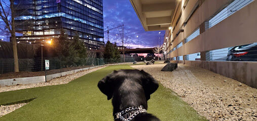 K2 Apartments Dog Park