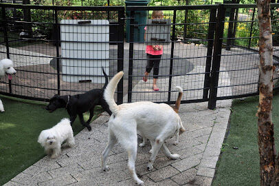 Lakeshore East Dog Park