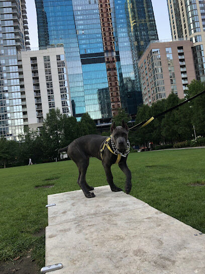 Lakeshore East Park