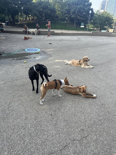 Larrabee Dog Park
