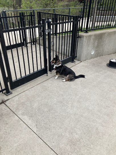 Lathrop Dog Park