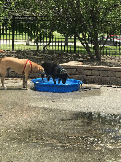 Lincoln Park Puptown - dog playground