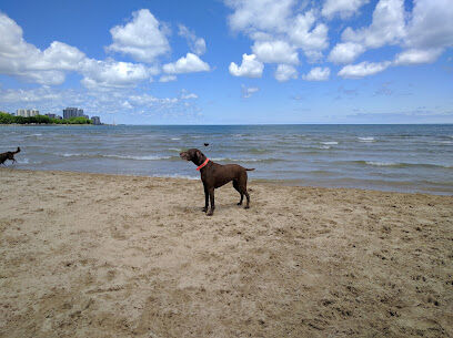 Montrose Dog Friendly Area