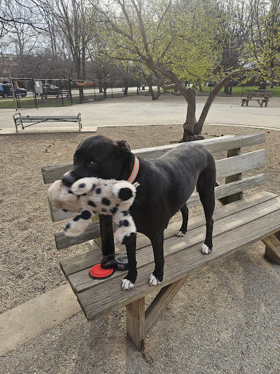 Norwood Park Dog Friendly Area