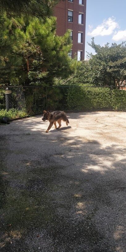 University Village Dog Park