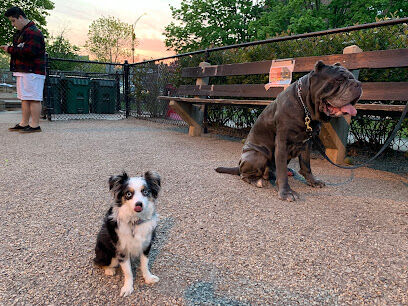 Wiggly Field Dog Park