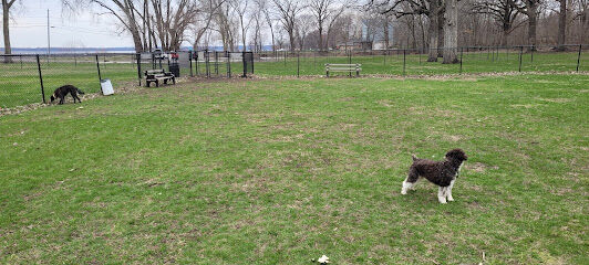 Walnut Dog Park