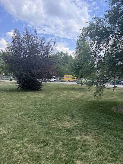 Nancy Benedetto Dog Park