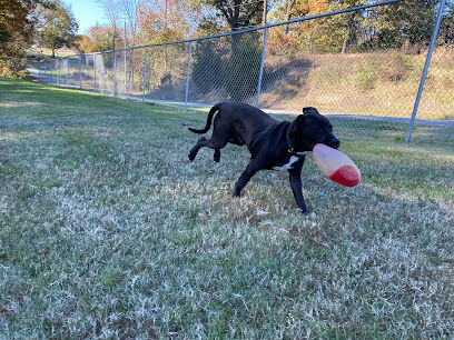 Paws Playground