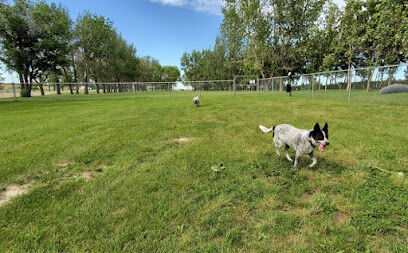 Beck Lake Off-Leash Dog Area