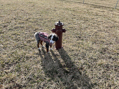 Dog Park