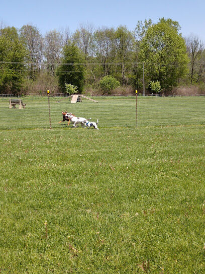 Park 4 Paws