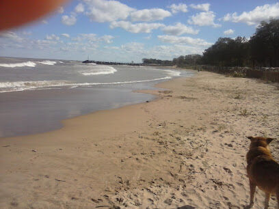 Dog Beach