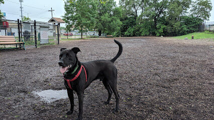 Forest Bark Dog Park