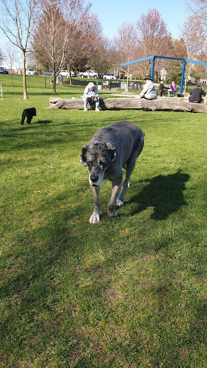 Freedom Run Dog Park