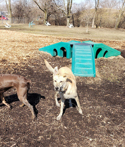 Rover's Run Dog Park (Membership required)