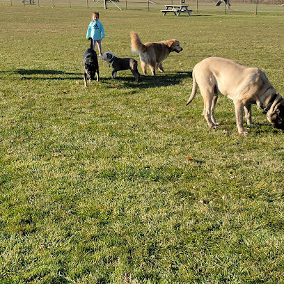 Bark Park