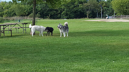 Duck Farm Off-Leash Dog Area