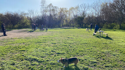 Independence Grove Off-Leash Dog Area