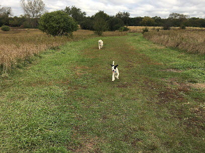 East Branch Off-leash Dog Park