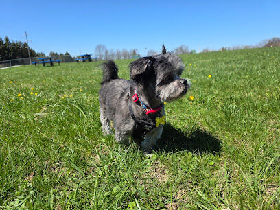Jackie & Dave Thompson Dog Park