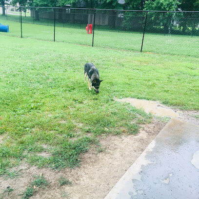 Marion Park District - THE Bark Park