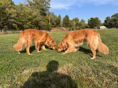 Green Valley Dog Park