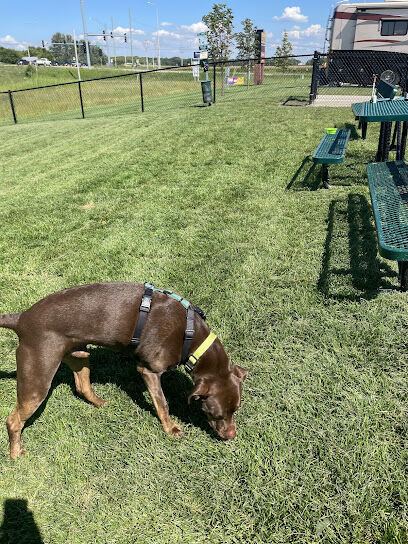 Dog Park at Love's Travel Stops