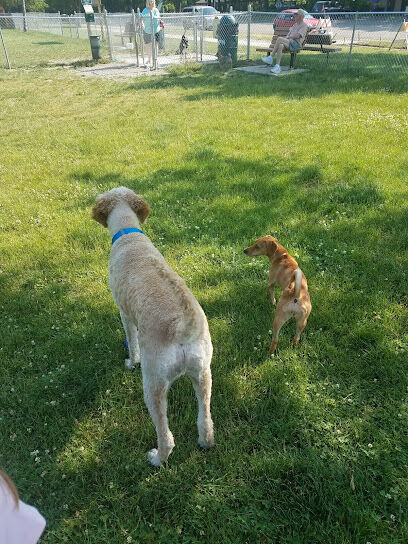 Tag-A-Long Dog Park