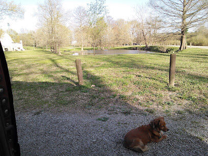 Riverside Dog Park
