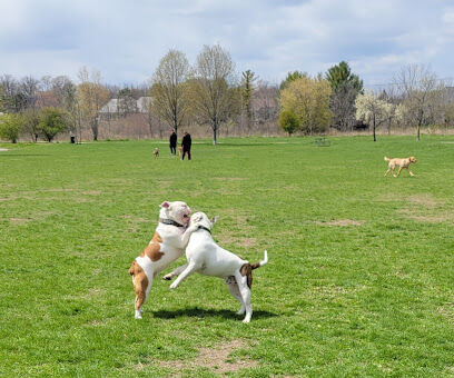 Greene Valley Dog Park