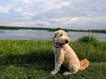Whalon Lake