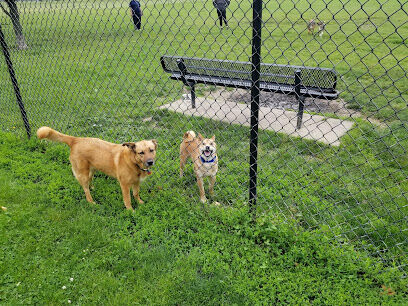 Maxwell Park Dog Park